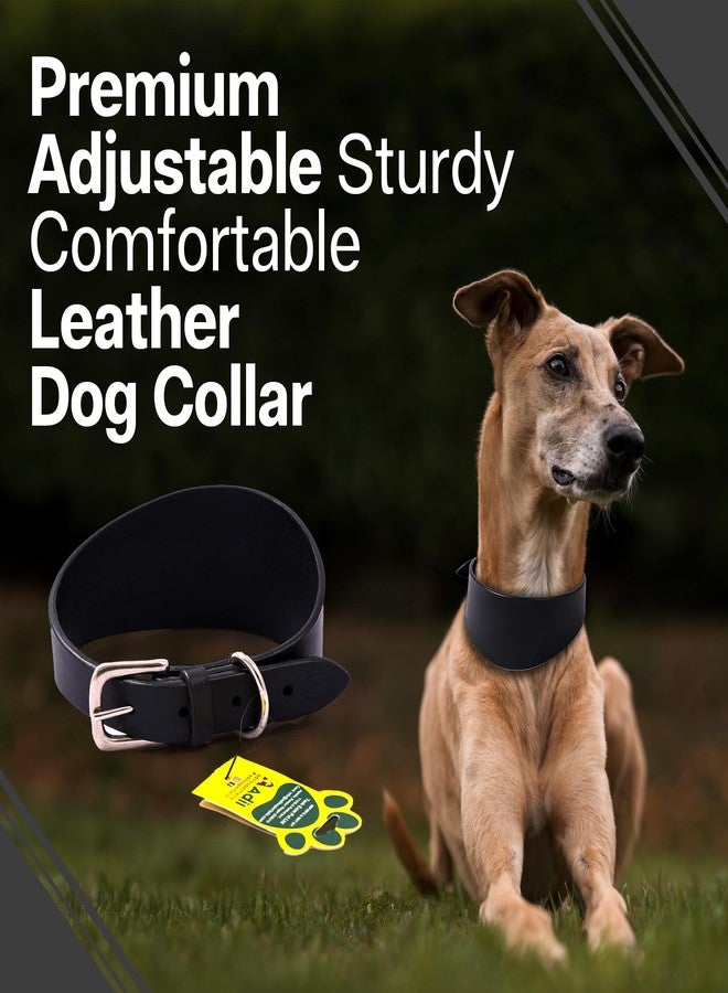 ADIL'S Adil’s Greyhound Dog Collar (Without Padding), Genuine Leather Suitable for Saluki, Whippet Dogs & Breeds with Similar Neck/Head Structure Size M, Black - Image 5